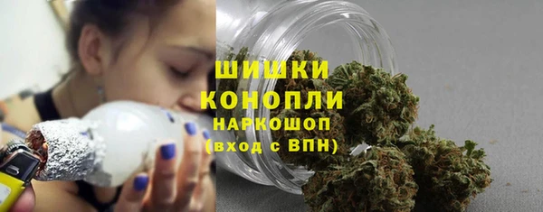 молекула духа Козельск