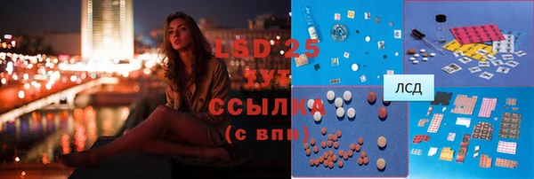 молекула духа Козельск