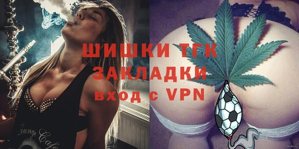молекула духа Козельск