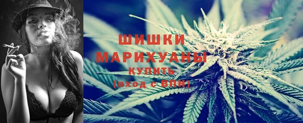 молекула духа Козельск