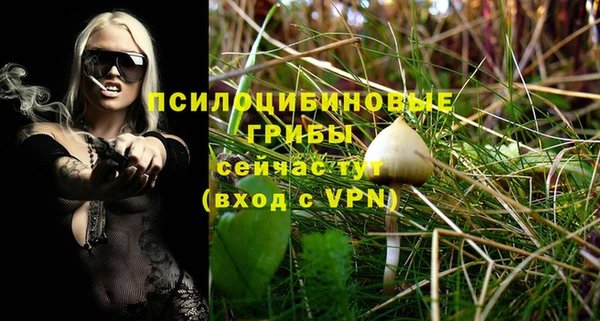 молекула духа Козельск