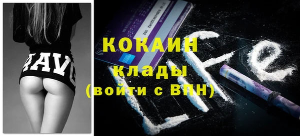 молекула духа Козельск