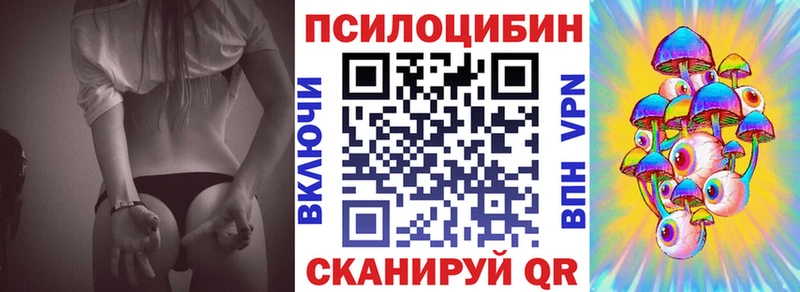 дарк нет клад  Шимановск  Псилоцибиновые грибы Psilocybine cubensis  магазин   