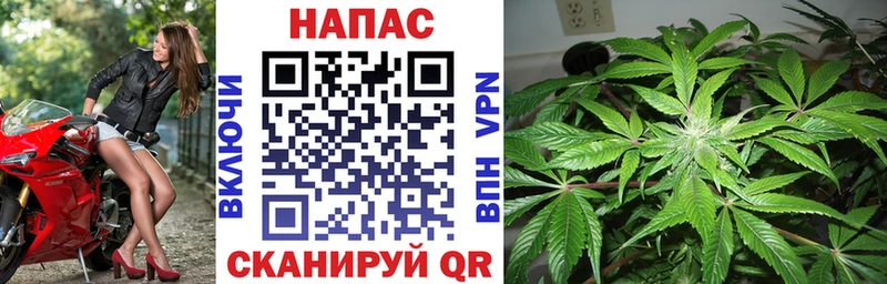 хочу   Шимановск  Канабис OG Kush 